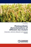 Photosynthetic characterizations of different rice mutant: Colouration, wide leaf, rolling leaf, and senescent mutants 365918778X Book Cover
