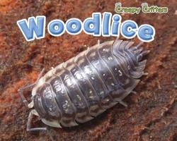 Woodlice 1410948242 Book Cover