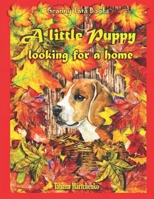 A little Puppy looking for a home 167421393X Book Cover