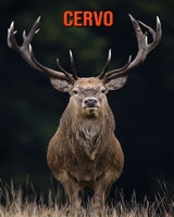 Cervo: Foto stupende e fatti divertenti Libro sui Cervo per bambini B095TBDVKR Book Cover