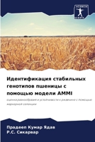 Идентификация стабильн&# 6207257529 Book Cover
