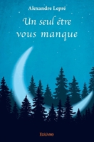 Un seul être vous manque (French Edition) 2414088834 Book Cover