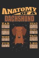 Anatomy Of A Dachshund: Anatomy Of A Dachshund Notebook Journal 6x9 Personalized Customized Gift For Dachshund Mom Dad Lined Paper 1080949712 Book Cover