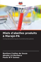 Miels d'abeilles produits à Marajó-PA (French Edition) 6208315719 Book Cover