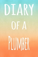 Diary of a Plummer: The perfect gift for the professional in your life - 119 page lined journal 1694718301 Book Cover
