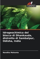Idrogeochimica del blocco di Dhankauda, distretto di Sambalpur, Odisha, India (Italian Edition) 6207804317 Book Cover
