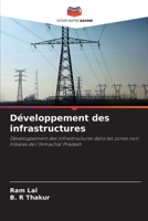 Développement des infrastructures (French Edition) 6209593690 Book Cover