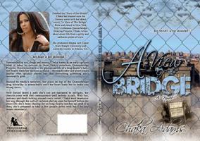 A View of The Bridge 0988701057 Book Cover