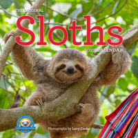 Original Sloths Wall Calendar 2023: The Ultimate Experts at Slowing Down 1523516127 Book Cover