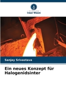 Ein neues Konzept für Halogenidsinter (German Edition) 6208143853 Book Cover