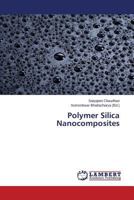 Polymer Silica Nanocomposites 3659756946 Book Cover
