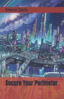 Secure Your Perimeter B0G2XKY88V Book Cover