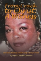 From Crack to Christ: A Witness B0DR9C9HWF Book Cover