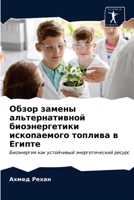 Обзор замены альтернативной биоэнергети& 6203148458 Book Cover