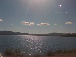 Life in a Dream 061542323X Book Cover