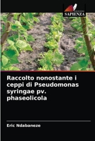 Raccolto nonostante i ceppi di Pseudomonas syringae pv. phaseolicola 6203179051 Book Cover