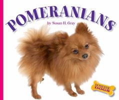Pomeranians (Domestic Dogs) 1592969666 Book Cover