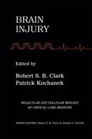 Brain Injury (Molecular & Cellular Biology of Critical Care Medicine) 1461356954 Book Cover