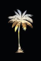 Palm Tree Notebook: Palm Tree Silhouette Notebook Beach Journal I Live Life 107298895X Book Cover