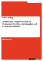 Die litauische Energiewirtschaft: Im Spannungsfeld von Importabh�ngigkeit und Versorgungssicherheit 3640672801 Book Cover