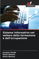 Sistema informativo nel settore della formazione e dell'occupazione (Italian Edition) 6630344057 Book Cover