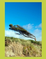 In 10 Wochen gestärkter durchs Leben - dem Stress im Alltag mit Resilienz begegnen: Ein Arbeitsheft für mehr seelische Widerstandskraft B0H99GST2T Book Cover