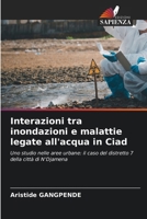 Interazioni tra inondazioni e malattie legate all'acqua in Ciad (Italian Edition) 6208605237 Book Cover