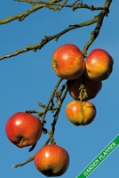 Garden Planner: Ripe red apples. Format A5, 120 pages, fine grey lined. Journal, diary, notebook and garden planner for everything that happens in the garden throughout the year. 1706299508 Book Cover