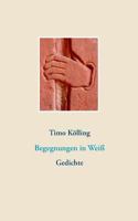 Begegnungen in Weiß: Gedichte 3746067782 Book Cover