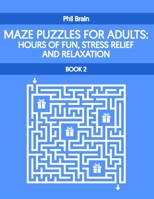 Mazes Puzzle for Adults: Hours of Fun, Stress Relief and Relaxation (book 2) B08TZBTNWF Book Cover