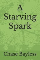 A Starving Spark B0BMSN6Y3K Book Cover
