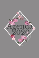 2020: planificateur mensuel annuel 2020 I organisateur mensuel I agenda hebdomadaire (French Edition) 1698401779 Book Cover