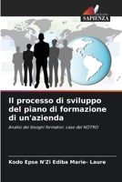 Il processo di sviluppo del piano di formazione di un'azienda: Analisi dei bisogni formativi: caso del NDTRO 6204147293 Book Cover