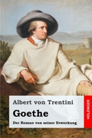 Goethe (Gro�druck) 3743732211 Book Cover