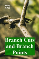 Branch Cuts and Branch Points: Exploring the topology of Riemann surfaces and their connection to analytic continuation B0F8DNW7HX Book Cover