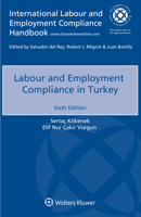 Labour and Employment Compliance in Turkey 9403527935 Book Cover