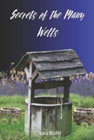 Secrets of the Many Wells 1763786439 Book Cover