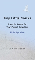 Tiny Little Cracks 098615881X Book Cover
