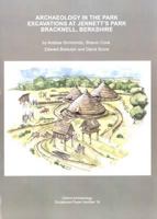 Archaeology in the Park: Excavations at Jennett's Park Bracknell, Berkshire 0904220583 Book Cover