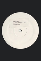 Dub Techno: The Orphic Experience of Sound B0CDN7RHTV Book Cover