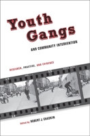 Youth Gangs and Community Intervention: Research, Practice, and Evidence 023114685X Book Cover