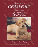 There Is Comfort for the Soul 163525745X Book Cover