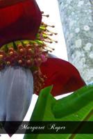 Margaret Roper 1466351861 Book Cover