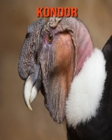 Kondor: Sagenhafte Fotos & Buch mit lustigem Wissen über Kondor für Kinder B095J2XZVK Book Cover