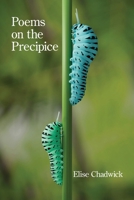 Poems on the Precipice 1639808906 Book Cover