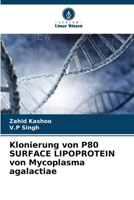 Klonierung von P80 SURFACE LIPOPROTEIN von Mycoplasma agalactiae 6207337468 Book Cover