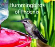 Hummingbirds of Phoenix 1714261867 Book Cover