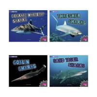 All about Sharks 1977101682 Book Cover