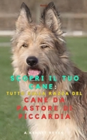 Scopri il tuo Cane :Tutto sulla razza del Cane da Pastore di Piccardia (Italian Edition) B0FFMN952W Book Cover