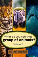 What do you call that group of animals? Volume 2 B0FPFZYNK7 Book Cover